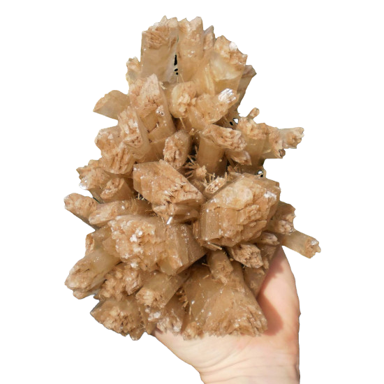 鉱物　GYPSUM Gypsum